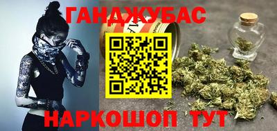 индика Тара