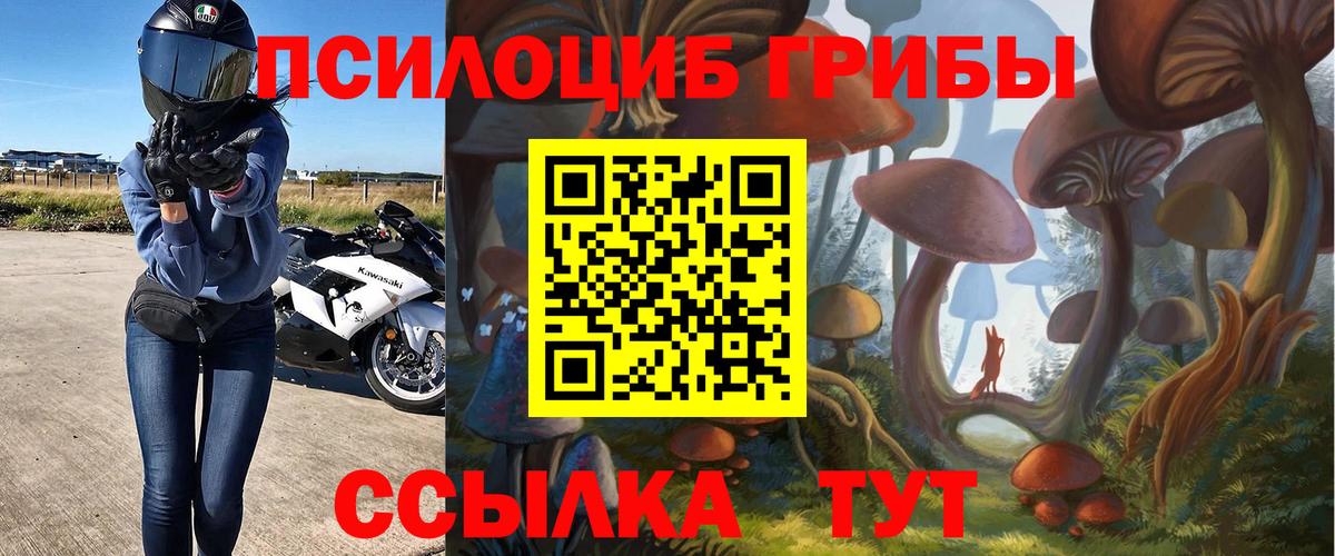 Псилоцибиновые грибы Magic Shrooms Мытищи