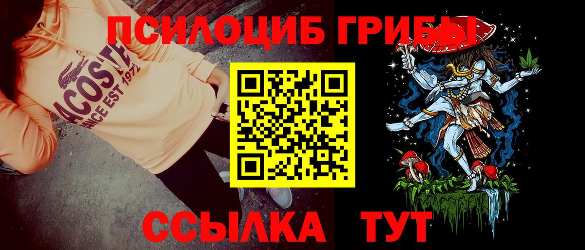 Мытищи  Галлюциногенные грибы мухоморы  купить  цена  Вход с VPN 